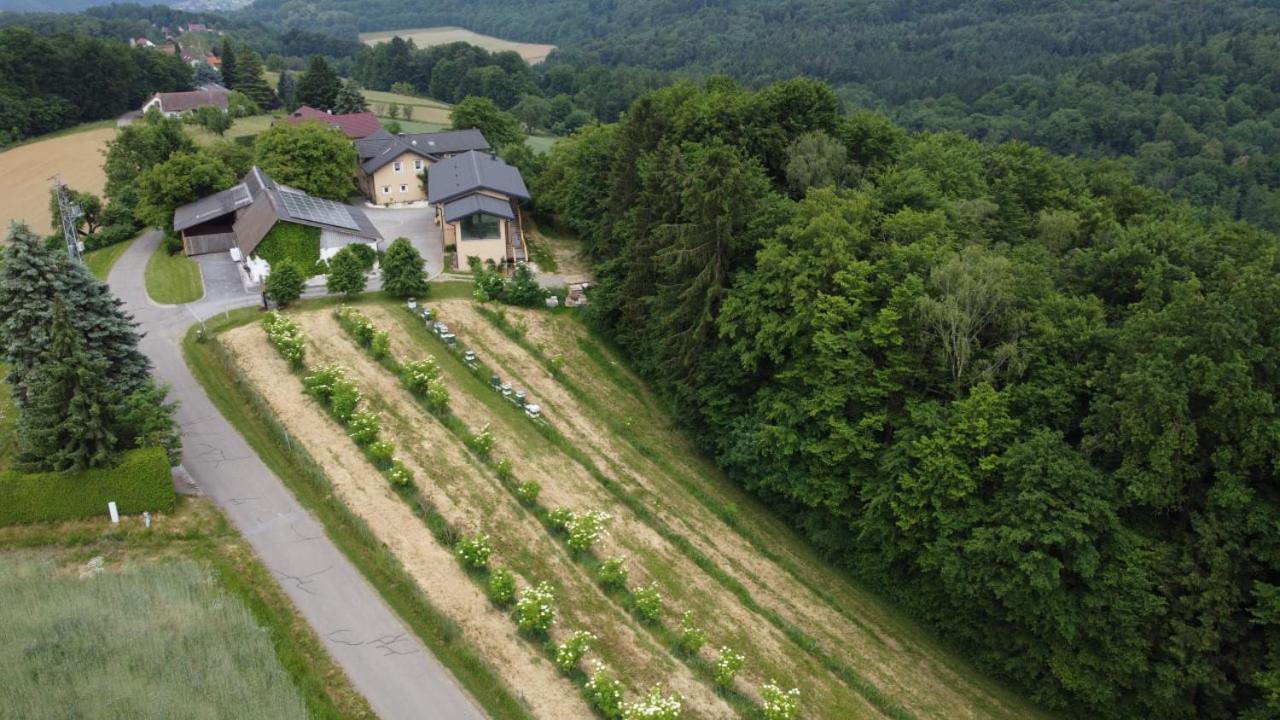 Апартаменти Beim Bergjosl Kirchbach in Steiermark Екстер'єр фото